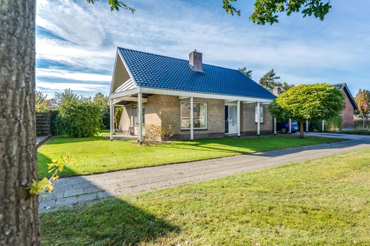 Camphuysen 4 in Roden foto