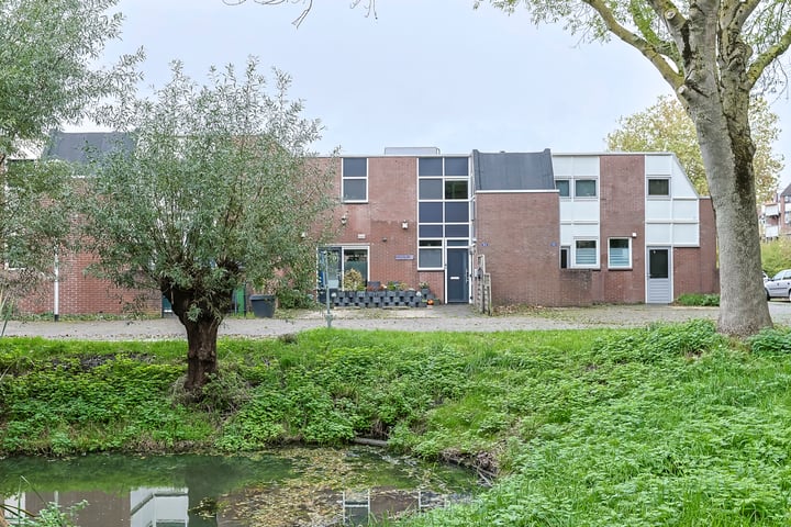 Cantharel 53 in Alphen aan den Rijn foto