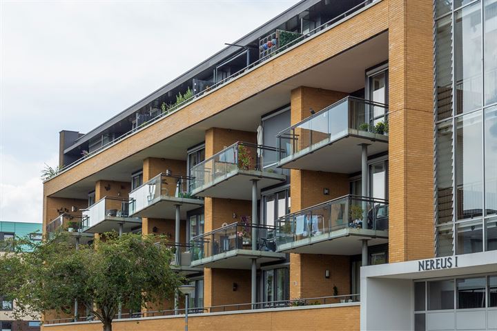 Capellestraat 90 in Steenwijk foto