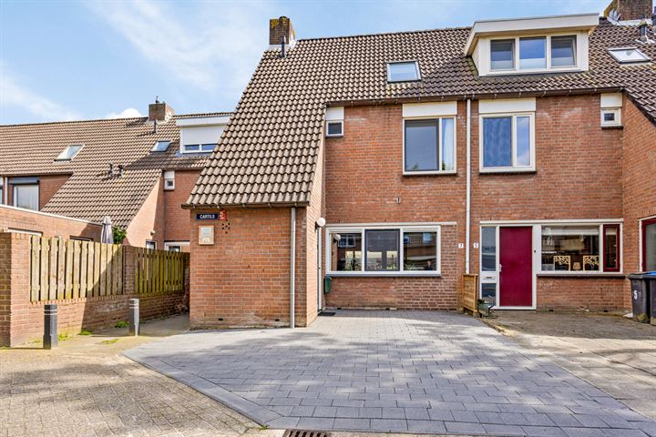 Cartils 7 in 's-Hertogenbosch foto