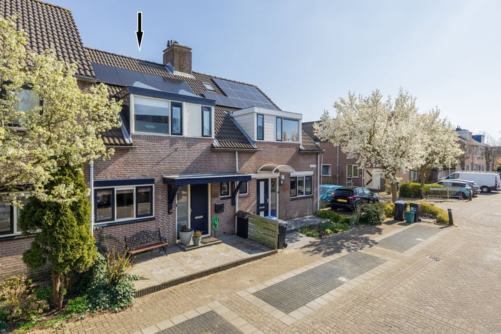 Catswende 10 in Hillegom