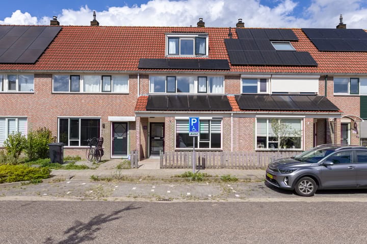 Ceder 90 in Hoorn foto