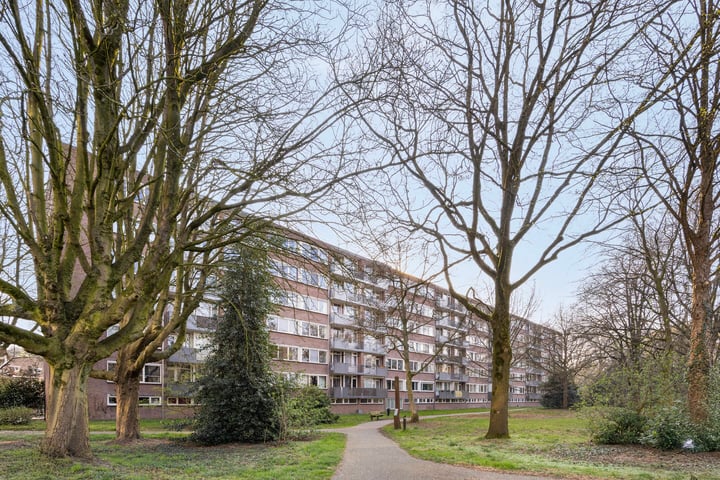 Cederstraat 143 in Tilburg foto