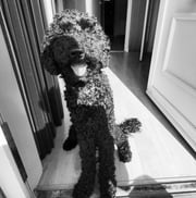 Foto van Charlie