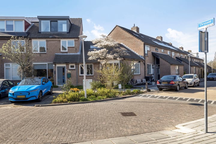 Chrysant 22 in De Lier