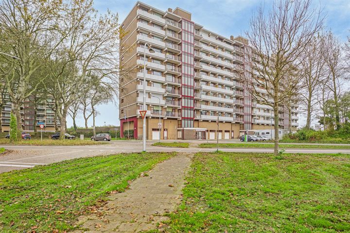 Churchilllaan 1080 in Terneuzen foto