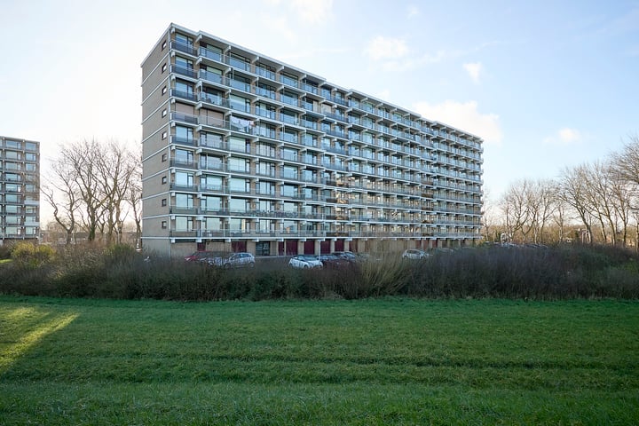 Churchilllaan 962 in Terneuzen foto