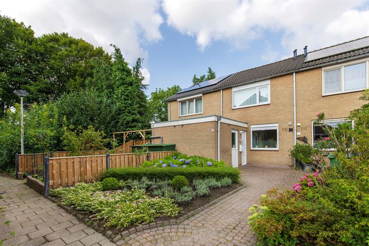Cinnaberdijk 30 in Roosendaal foto