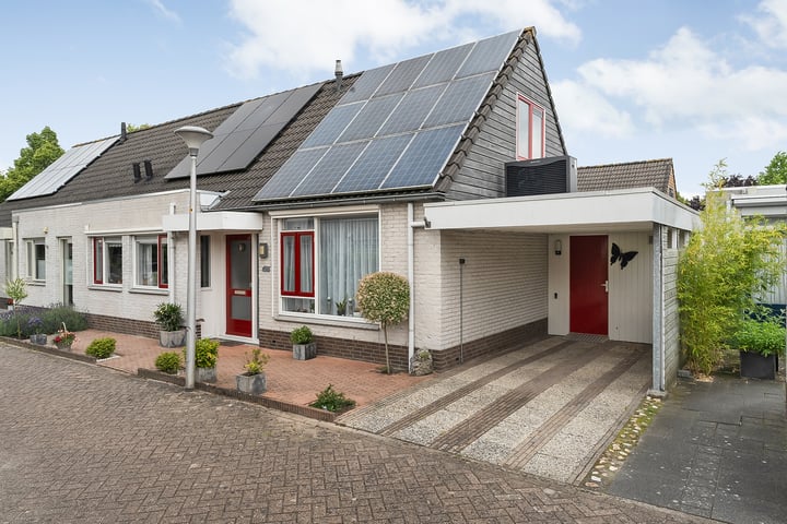 Citroenvlinder 11 in Zwolle foto