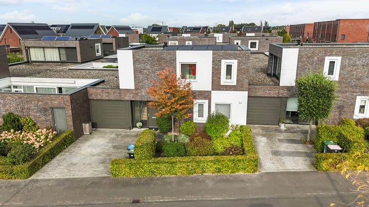 Citroenvlinder 13 in Apeldoorn foto