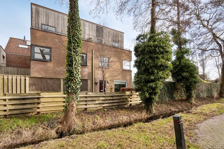 Citroenvlinder 168 in Meppel foto