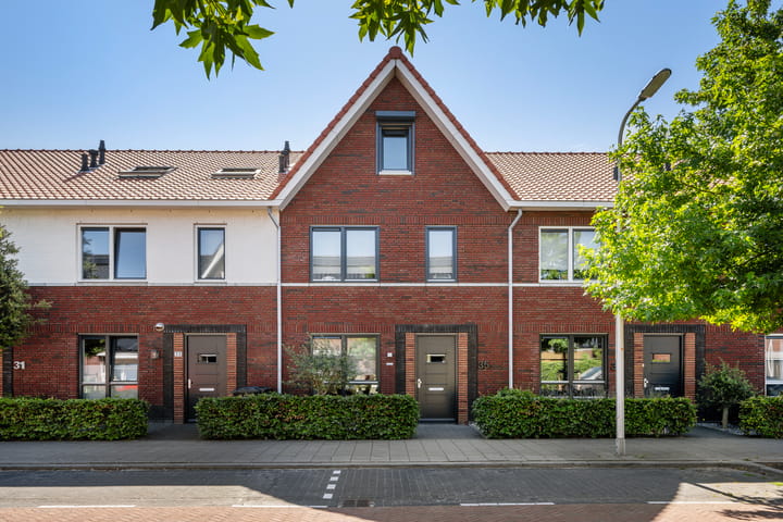 Citroenvlinder 35 in 's-Gravenzande foto