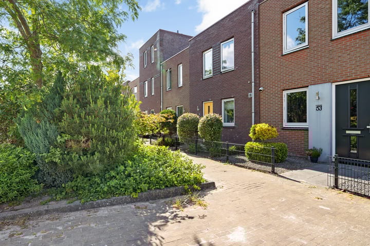 Citroenvlinder 51 in Hoogeveen foto