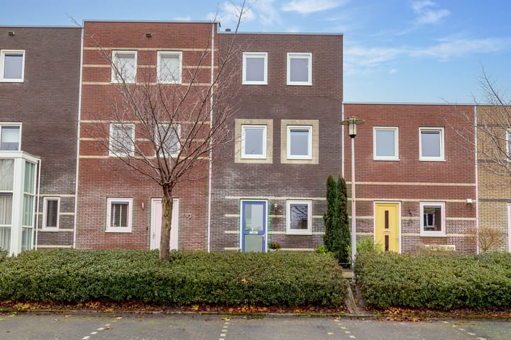 Citroenvlinder 95 in Hoogeveen