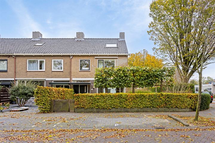 Clusiuslaan 302 in Zaandam foto
