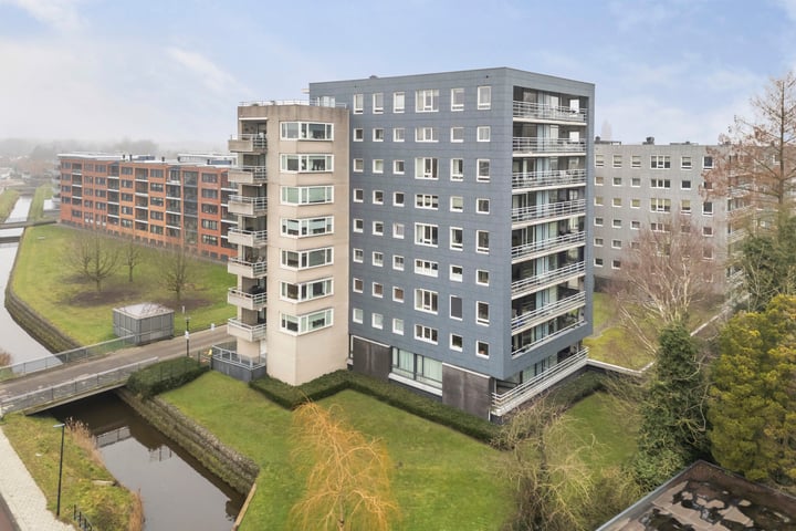Coldstream 50 in Hengelo foto