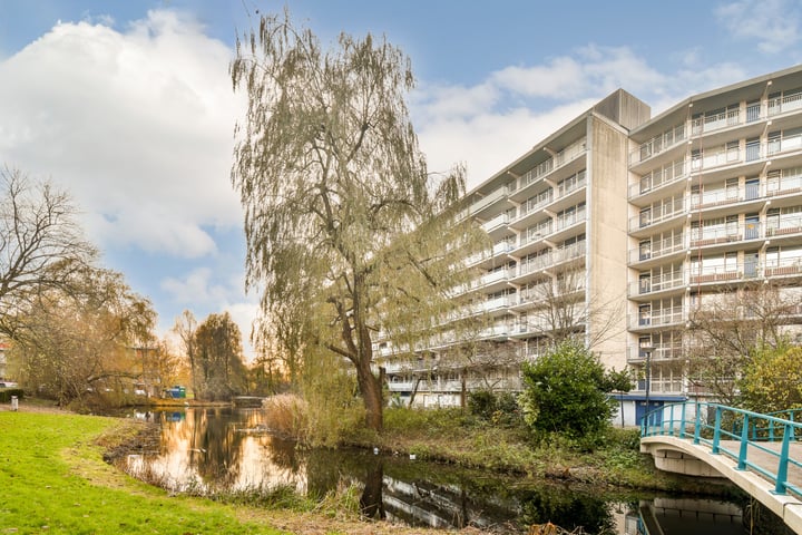 Condorhorst 134 in Leiden foto