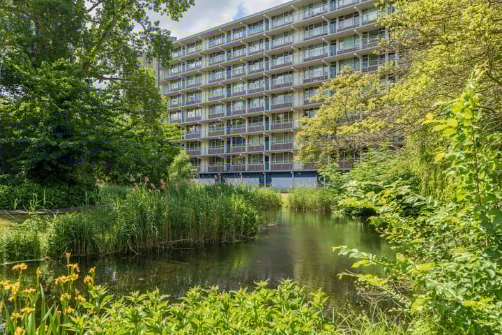Condorhorst 19 in Leiden foto