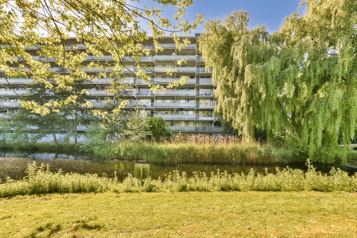 Condorhorst 38 in Leiden foto
