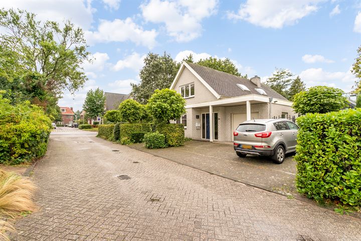 Contrabas 60 in Etten-Leur foto