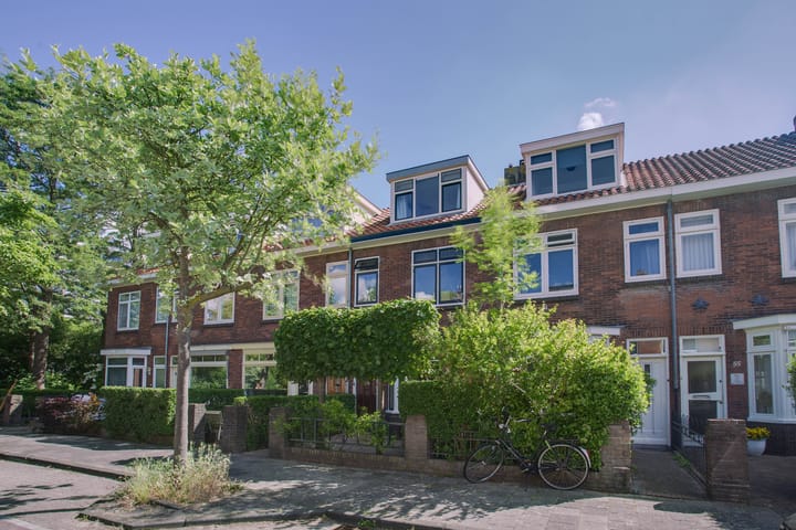 Coornhertstraat 59 in Leiden