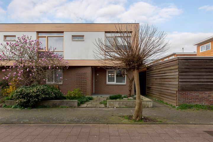 Copepad 2 in Alphen aan den Rijn foto