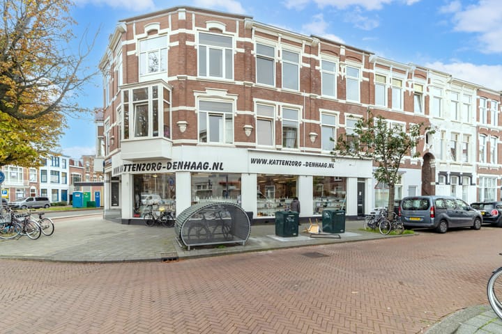 Copernicusstraat 220A in 's-Gravenhage foto