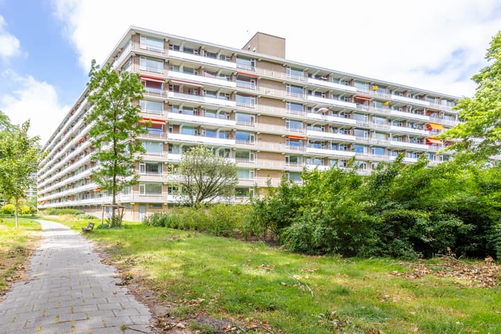 Cordell Hullplaats 103 in Rotterdam foto