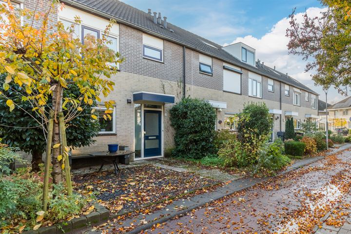 Cornelis Boekepad 10 in Oud-Beijerland foto