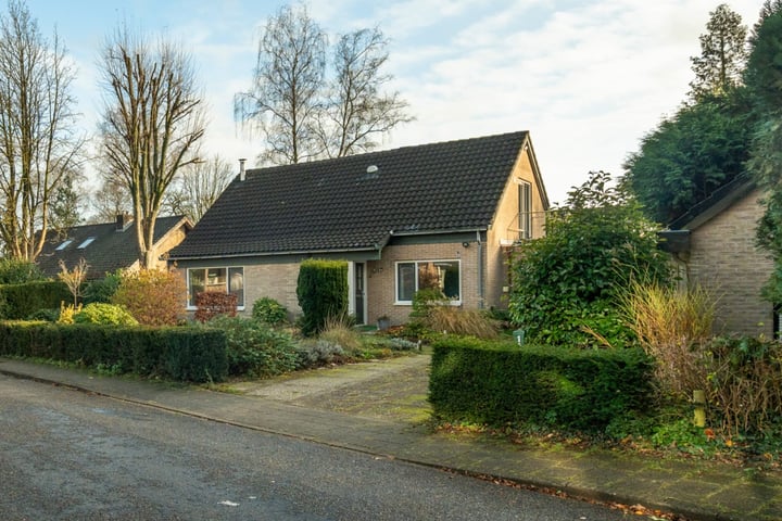 Cornelis Dopperlaan 1a in Dieren foto