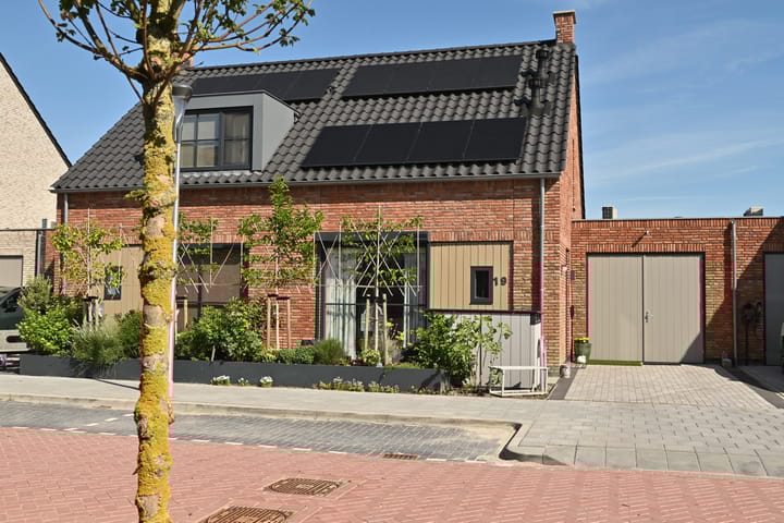 Coupure 19 in Steenbergen