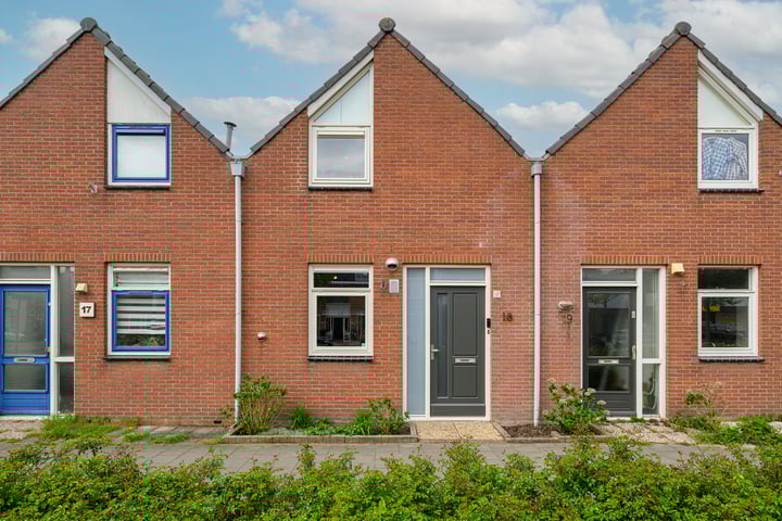 Crocus 18 in Naaldwijk foto
