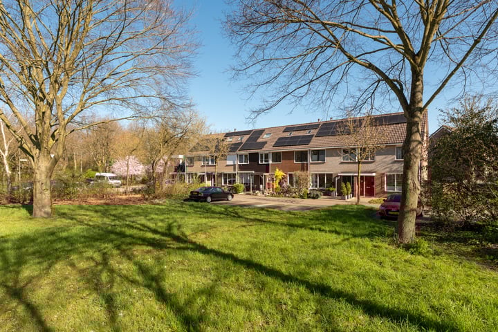 Crosestein 3122 in Zeist foto
