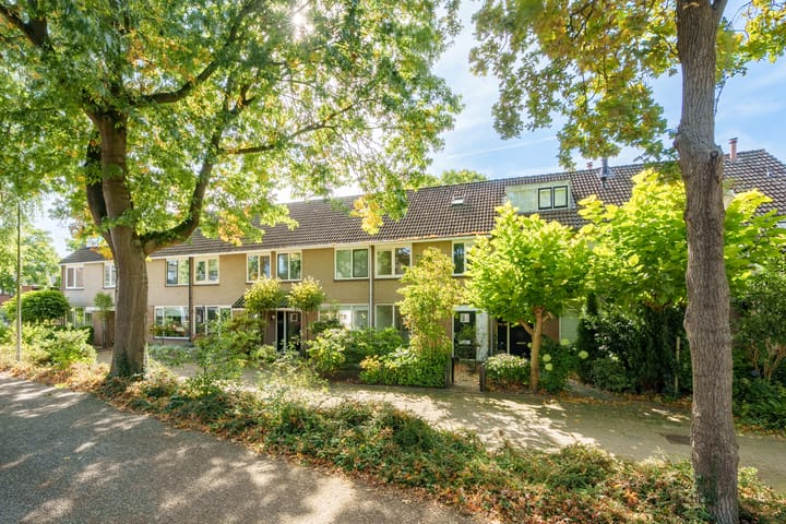 Crosestein 3519 in Zeist foto