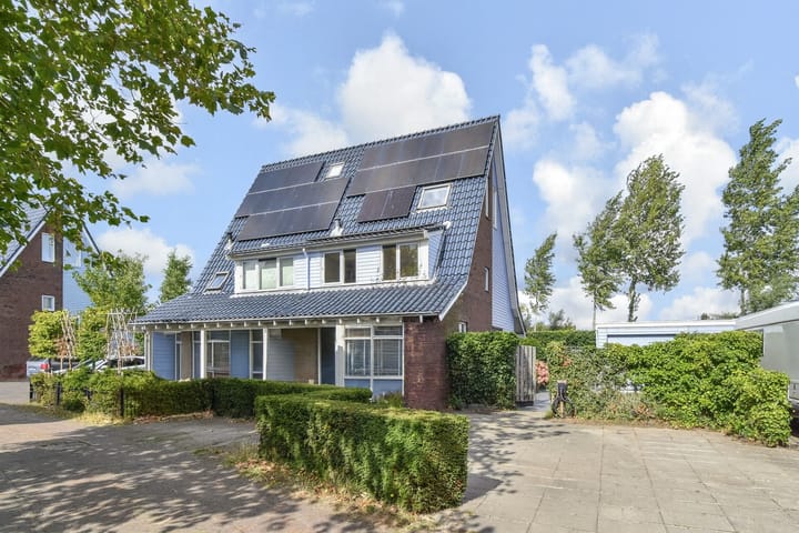 Cypergras 215 in 's-Gravenhage foto