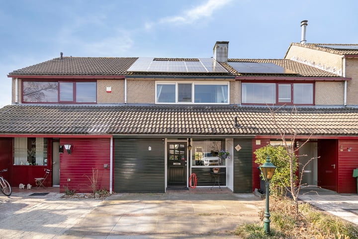 Dagvlinder 4 in Leiden foto