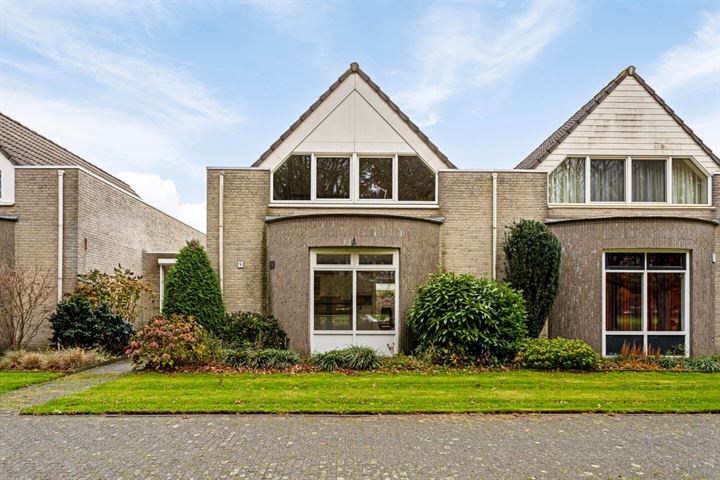 Dalkruid 9 in Asten foto