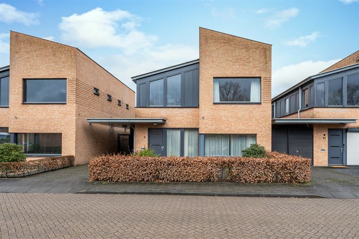 Damast 9 in Geldrop foto