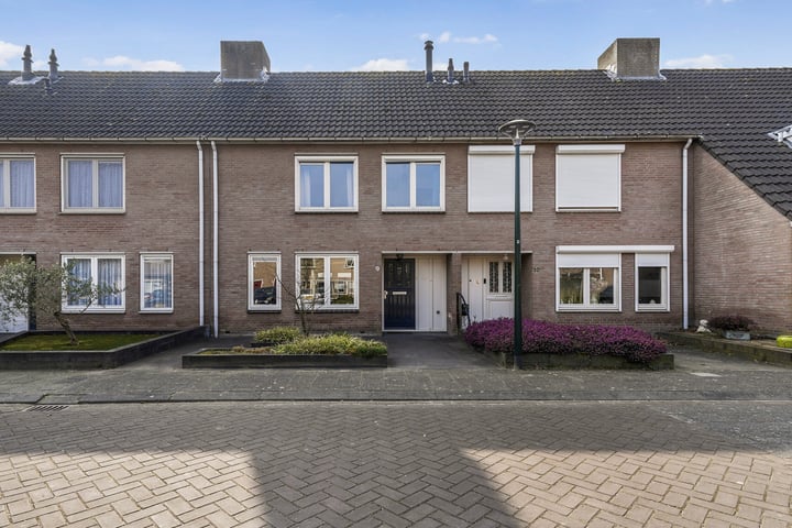 Damasthof 9 in Boxtel foto