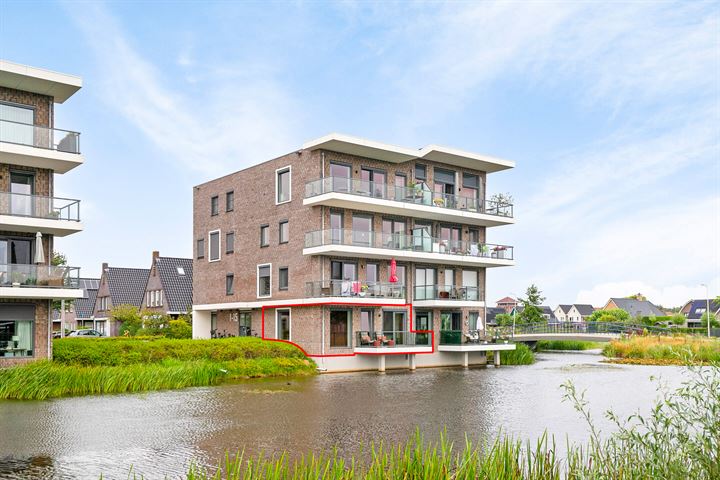 Dambordje 3 in Wolvega foto