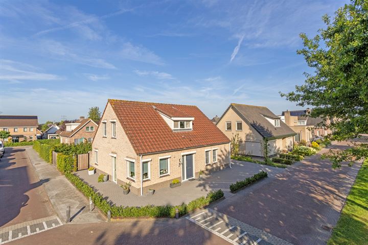 Dansvlinder 16 in Standdaarbuiten foto