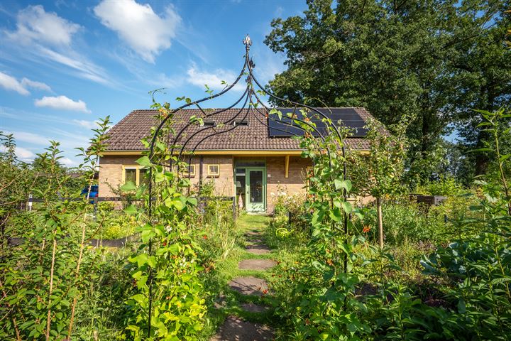 de Banenkamp 2 in Vorden foto