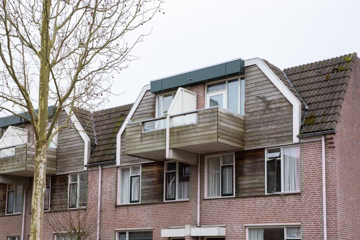 De Batavier 42 in Winterswijk foto