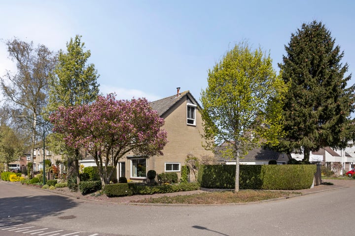 De Biezen 2 in Schaijk foto