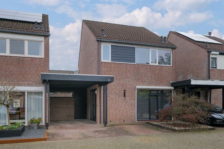 De Boomklever 4 in Almelo foto