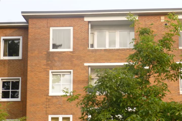 de Engh 7-III in Driebergen-Rijsenburg foto