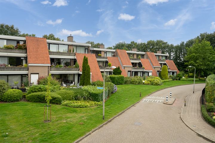 De Eschmolen 117 in Delden foto