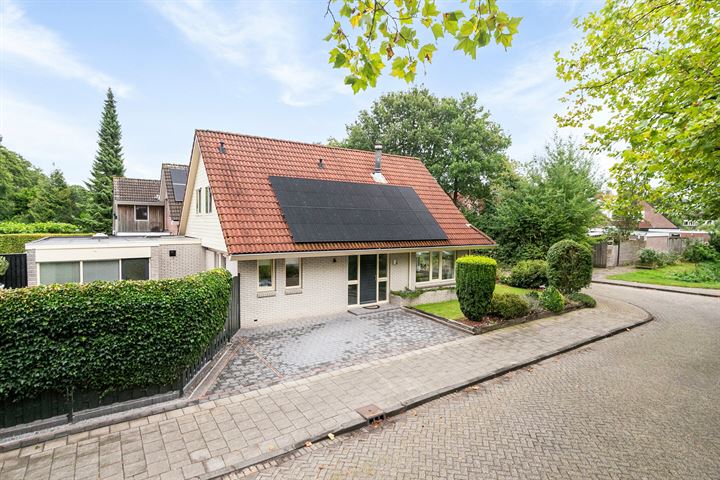 De Excelsior 38 in Drachten foto