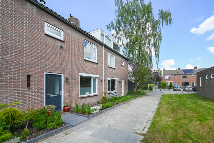 de Gang 4 in Benthuizen