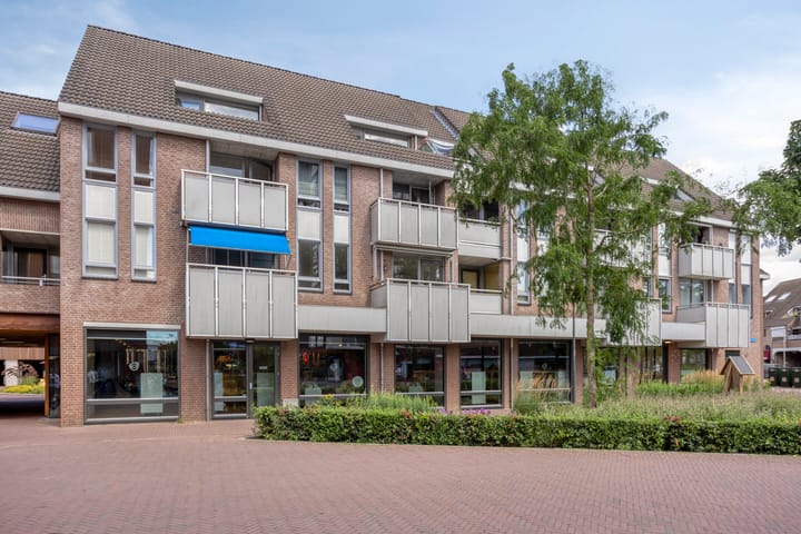 De Gouden Leeuw 45 in Venray